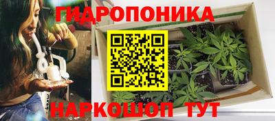 винт Гатчина