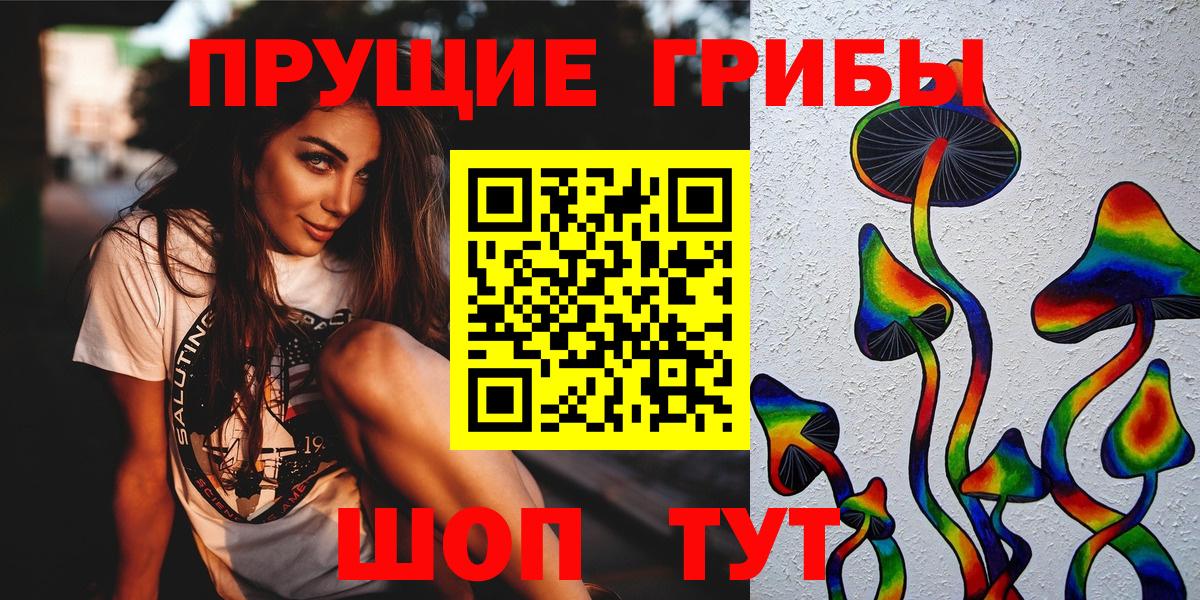 Галлюциногенные грибы Psilocybine cubensis Балаково