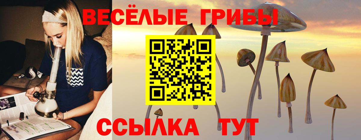 Псилоцибиновые грибы мухоморы  закладка  Балаково  Псилоцибиновые грибы Magic Shrooms  Вход с VPN 